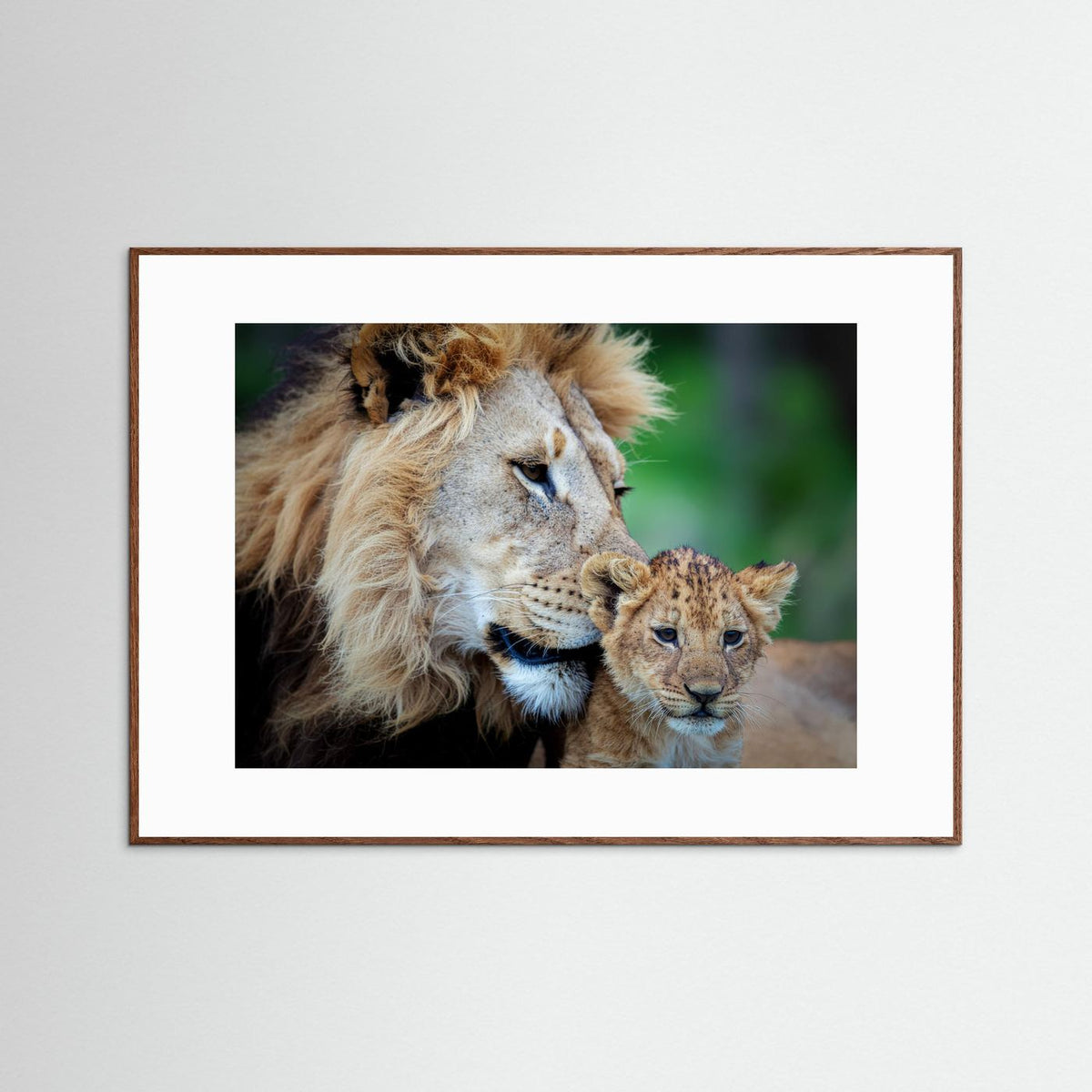 Father and Son