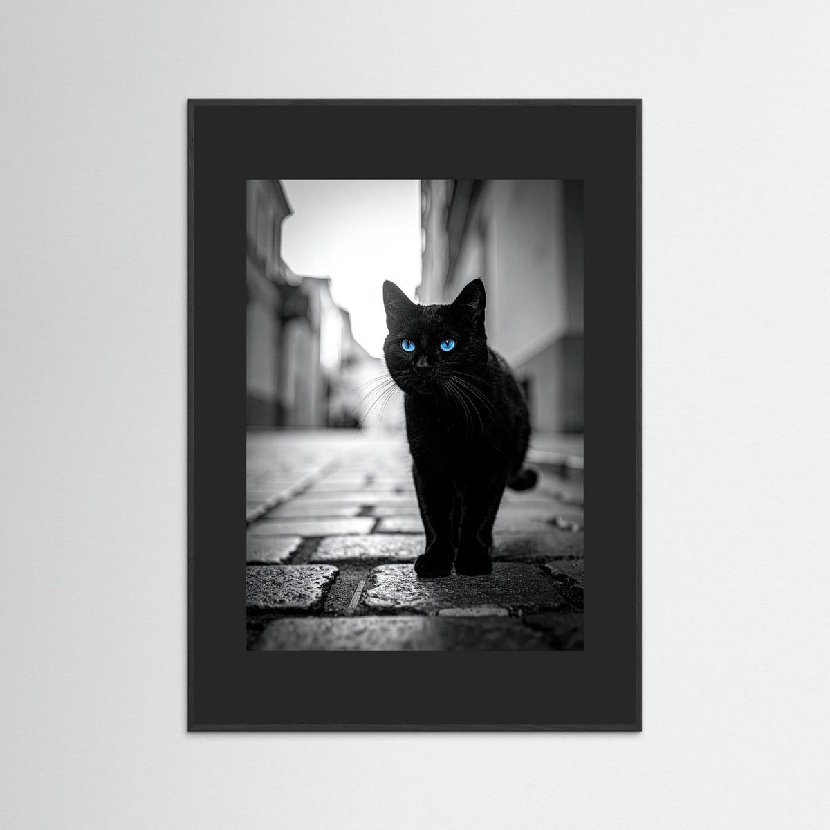 City Cat