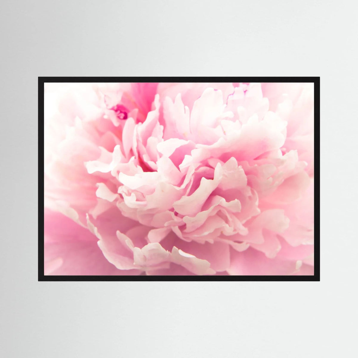 Fluffy Flower