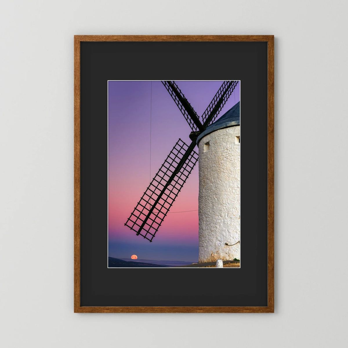 Don Quixote's Dream