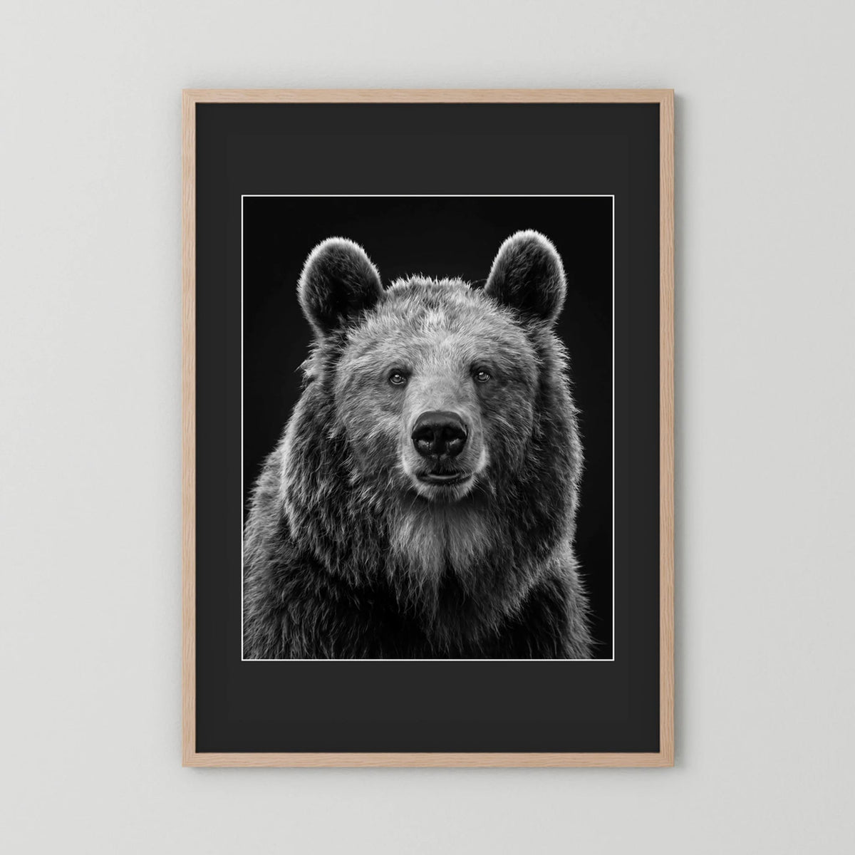 The Bear