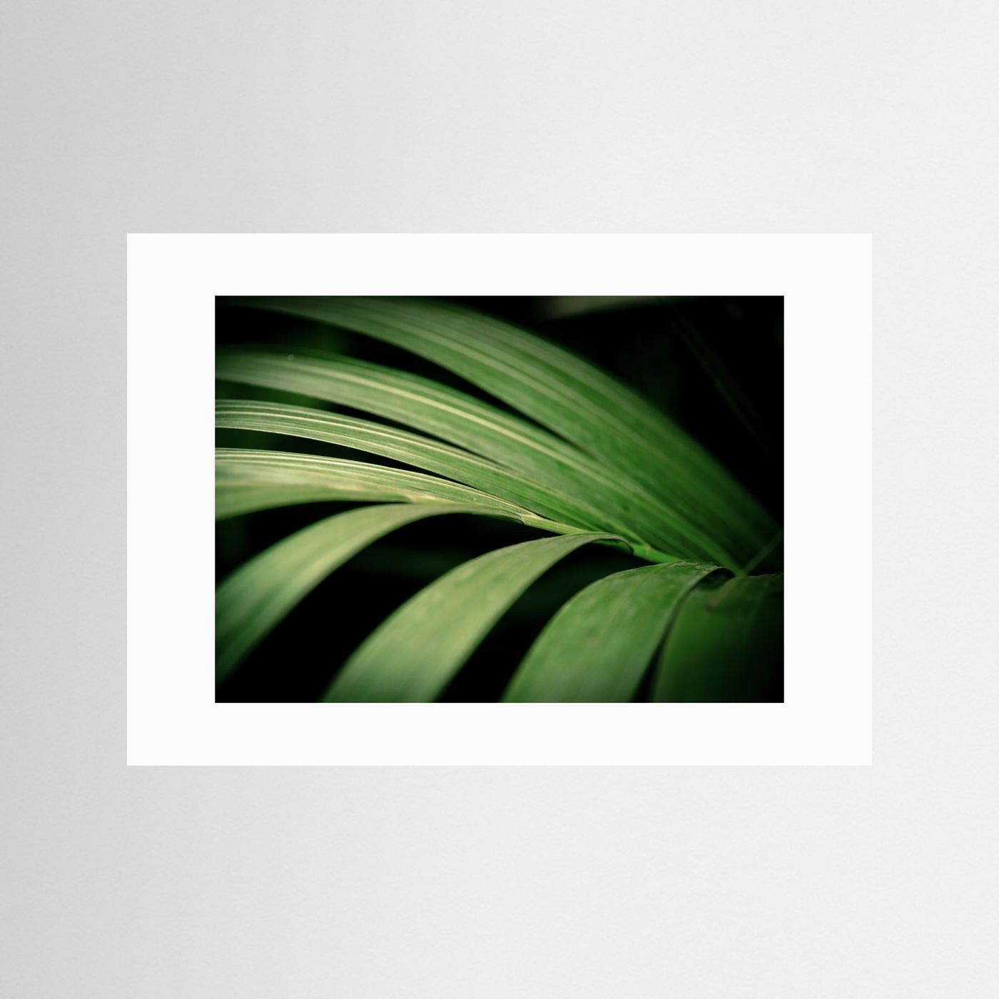 Green leaves