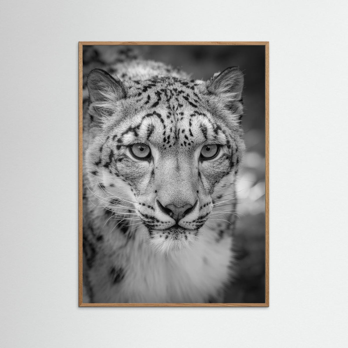 Leopard in Snow