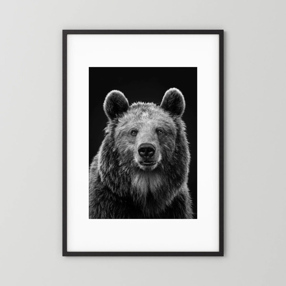 The Bear