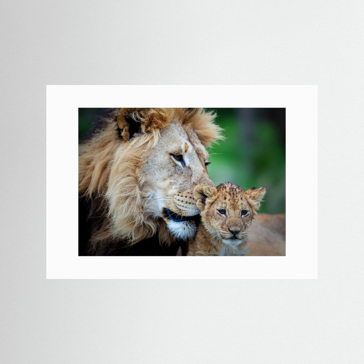 Father and Son