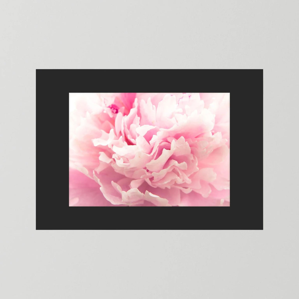 Fluffy Flower