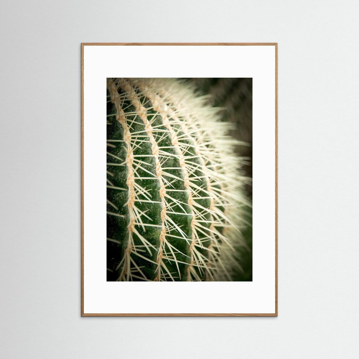Cactus