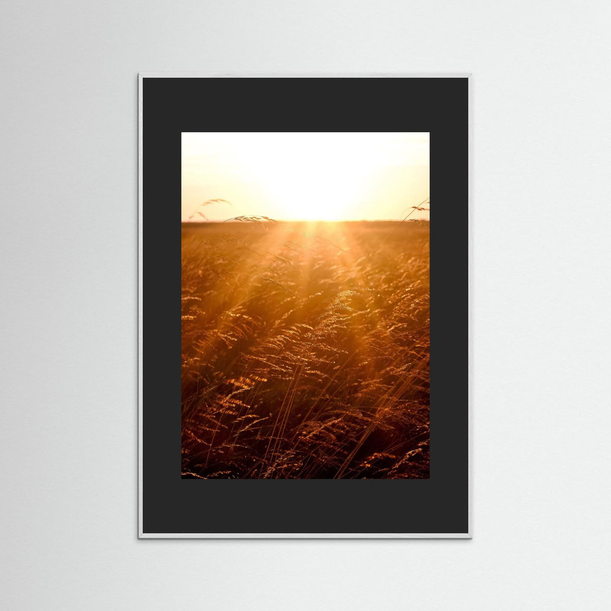 Fields of Gold