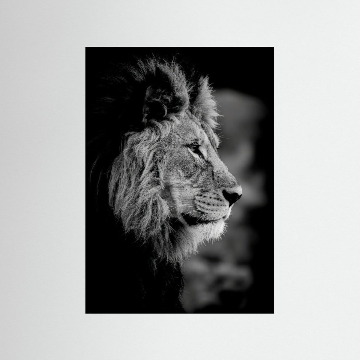 Majestic Mind