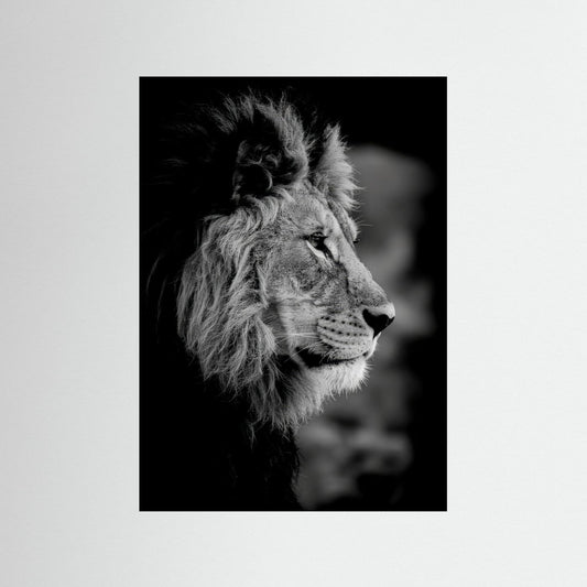 Majestic Mind
