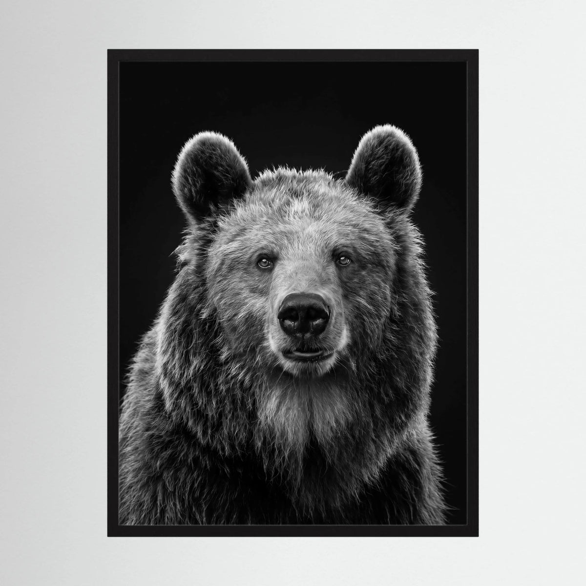 The Bear