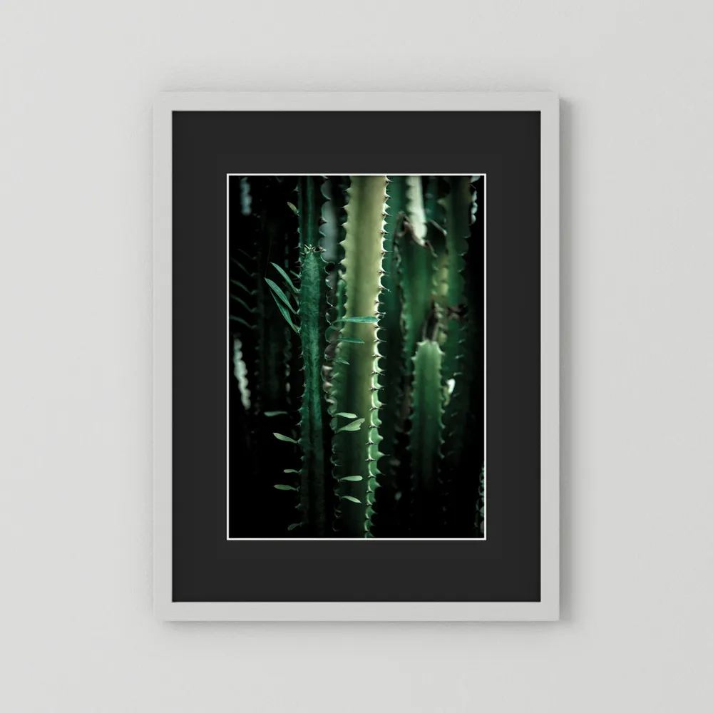 Dark Cactus