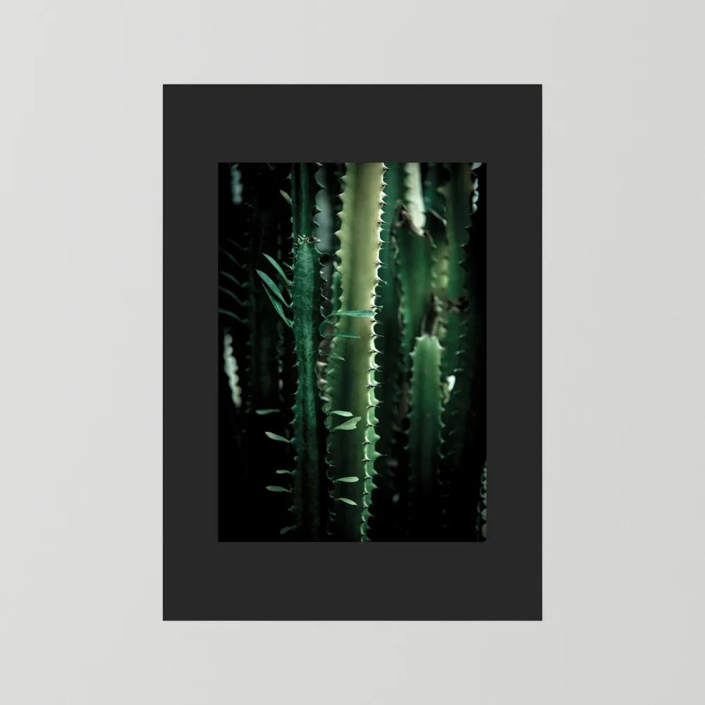 Dark Cactus