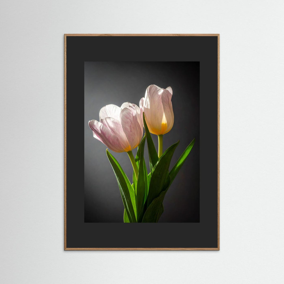 Tulip