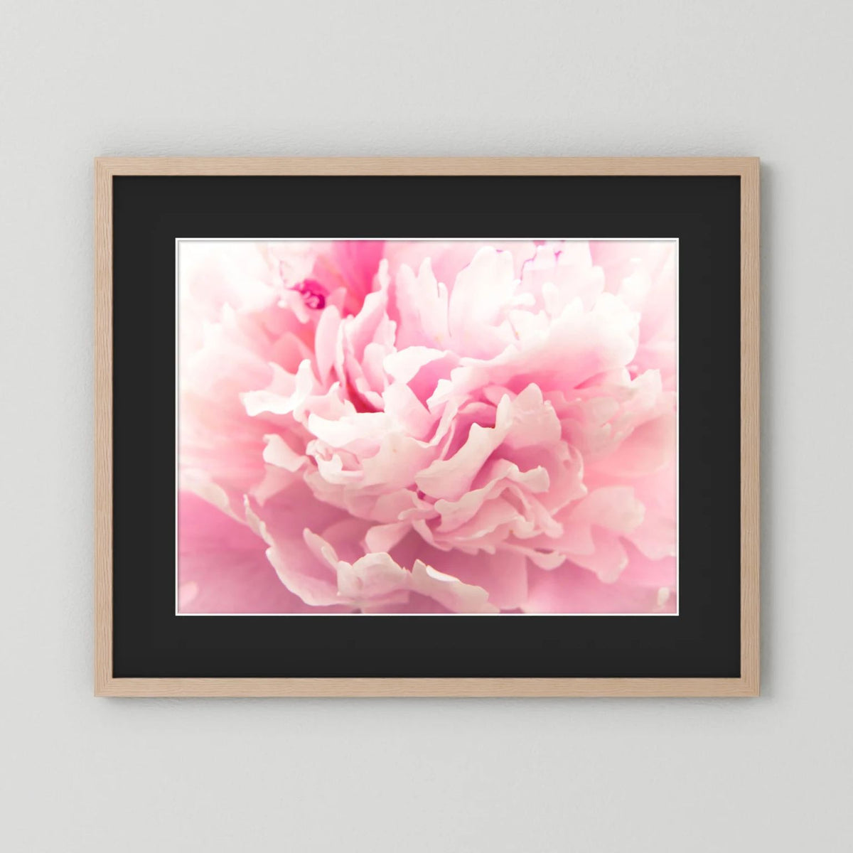 Fluffy Flower