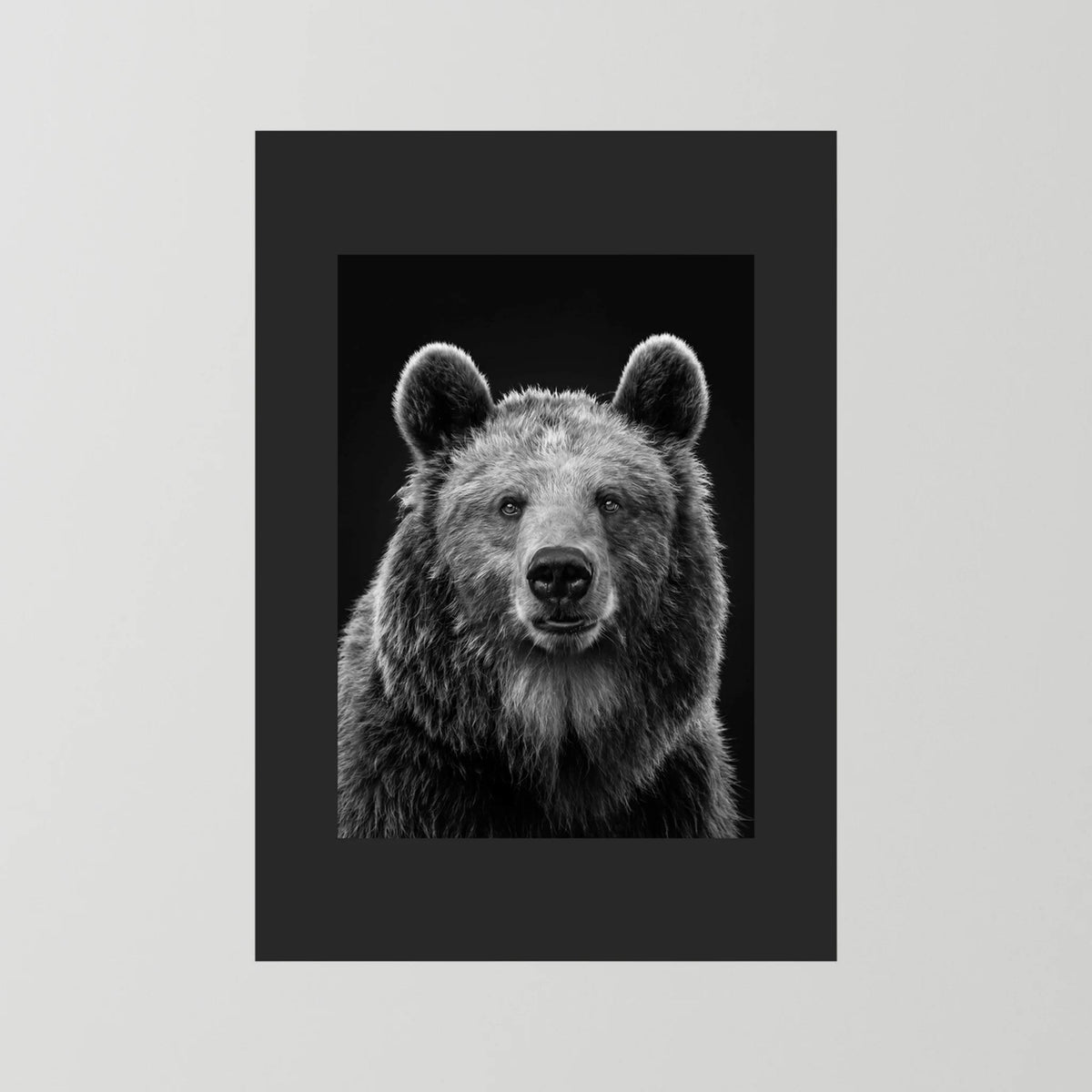 The Bear