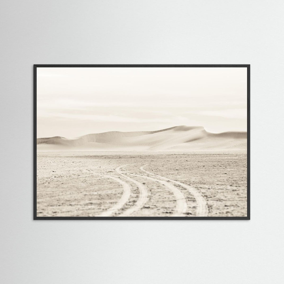 Into the Desert