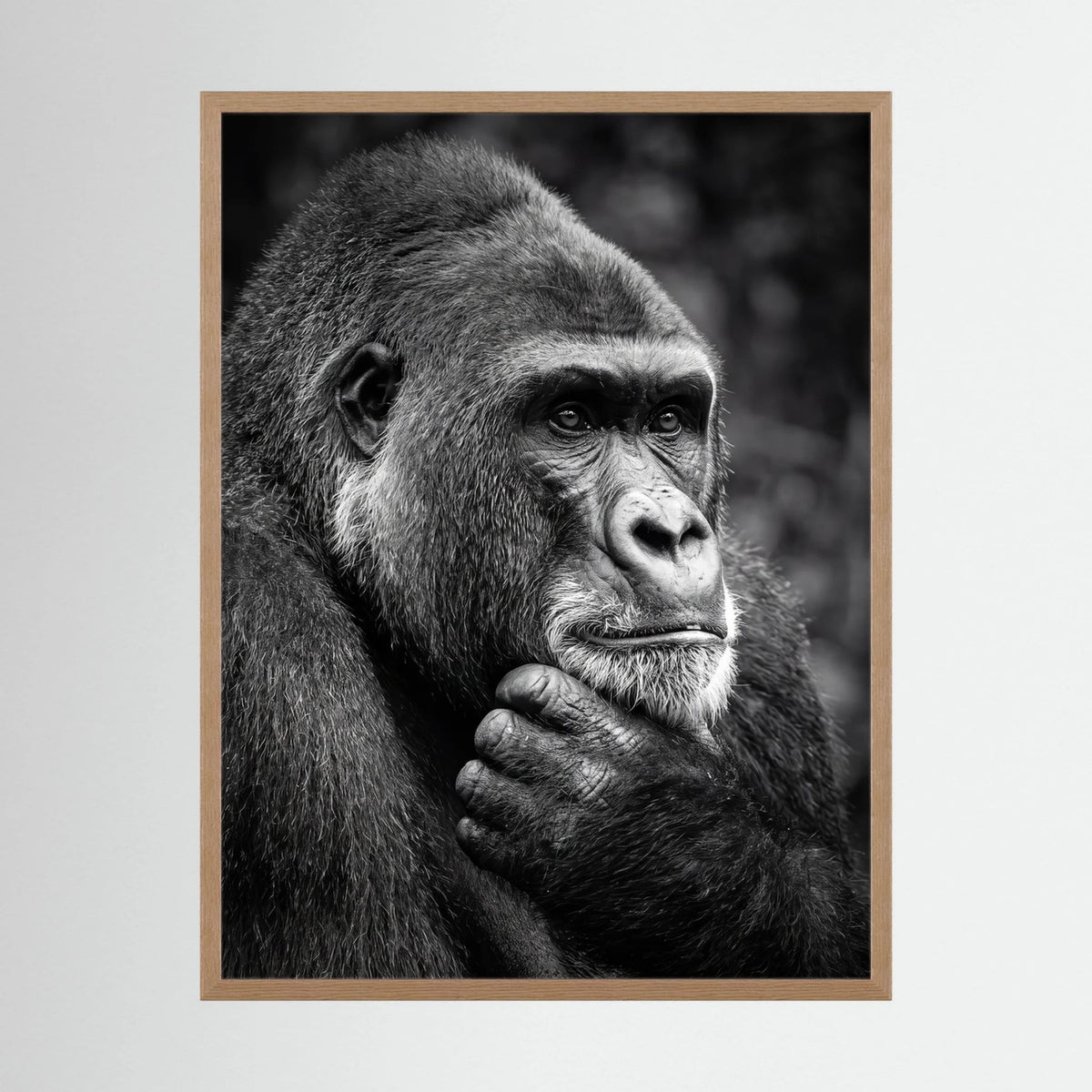 Gorilla