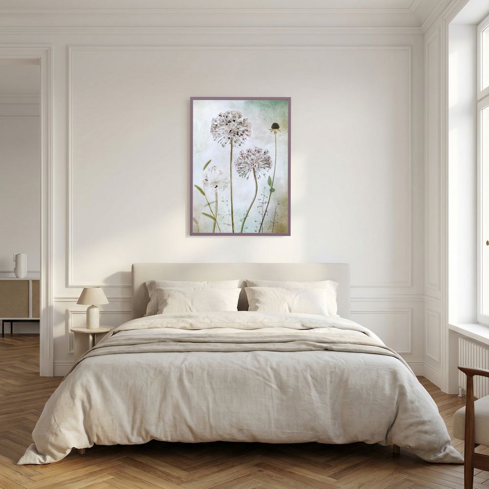 Allium 
