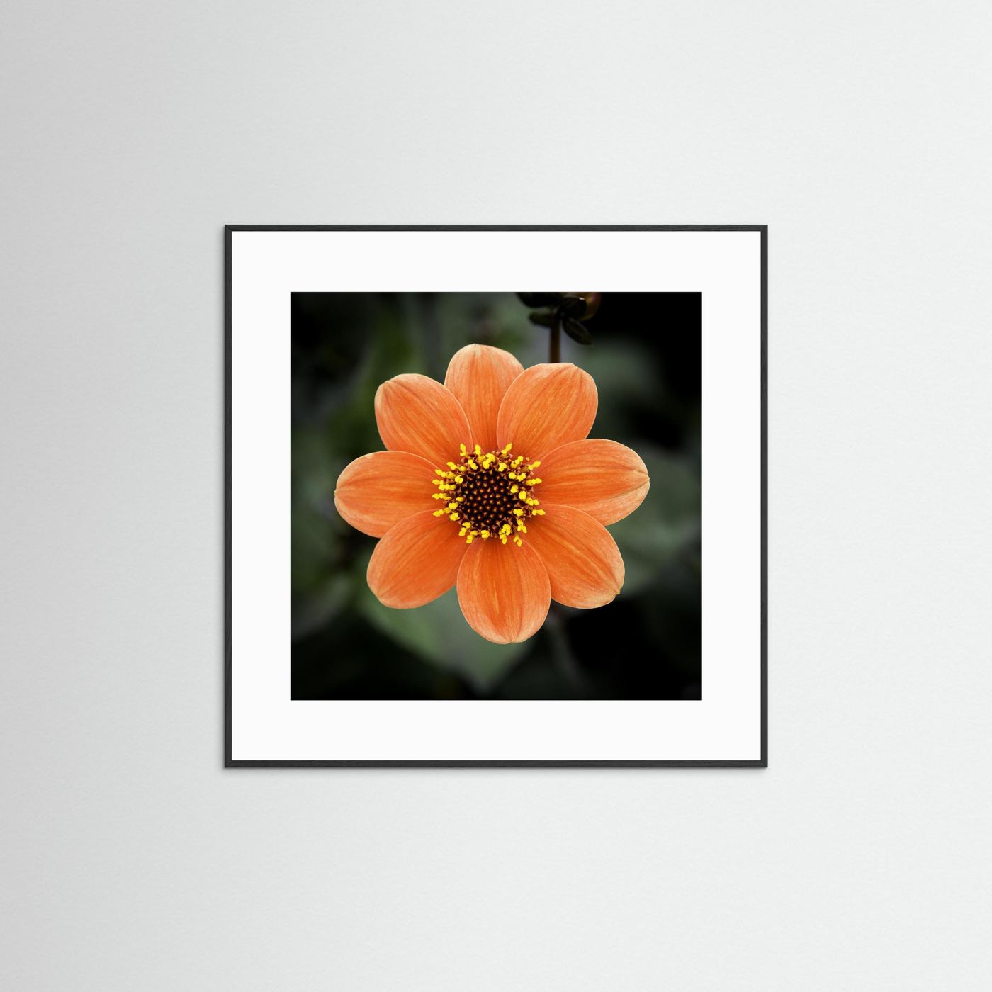 Square flower