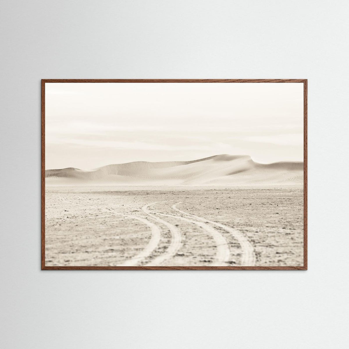 Into the Desert