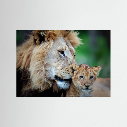 Father and Son