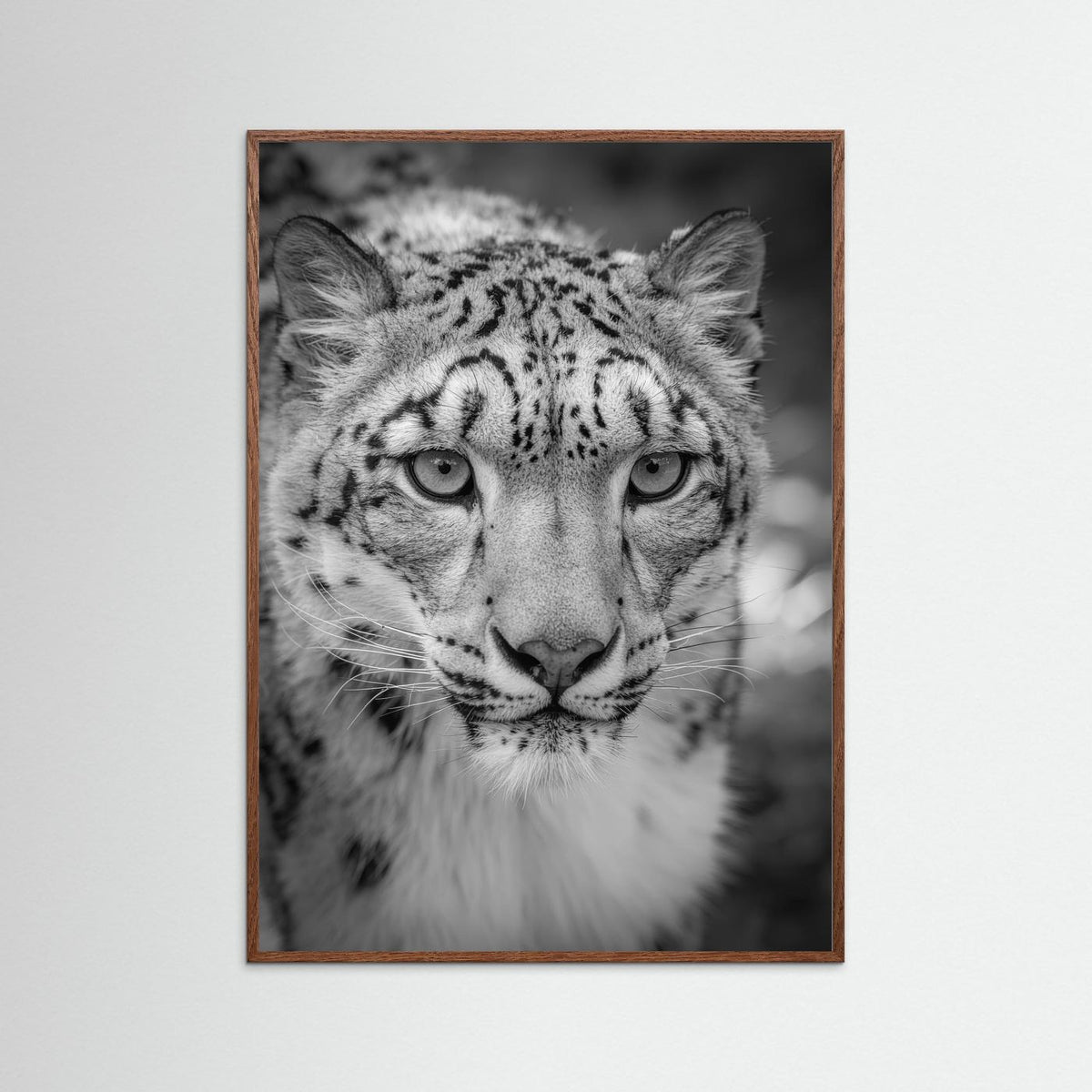Leopard in Snow