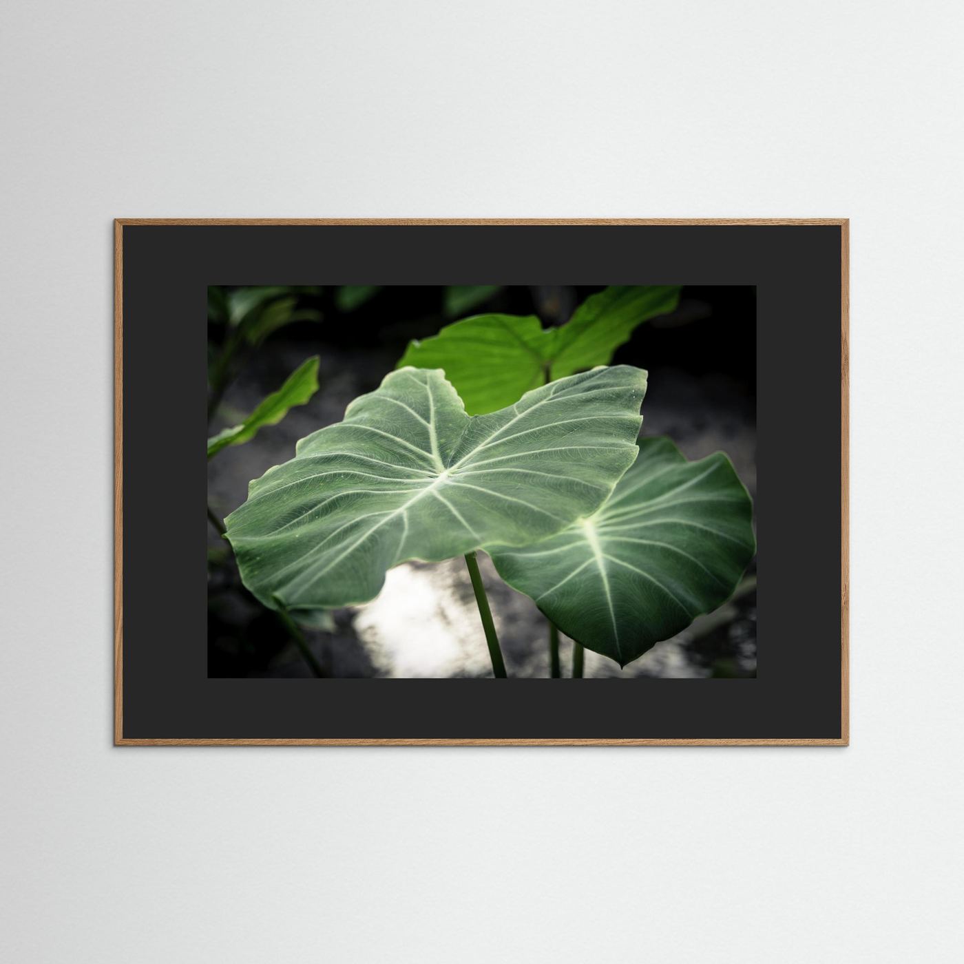 Leaf
