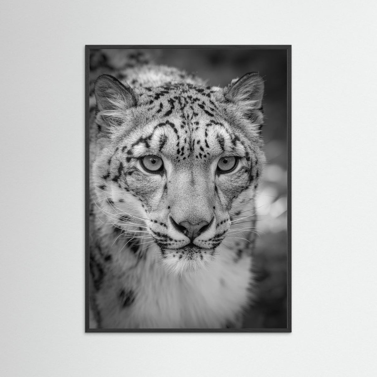 Leopard in Snow