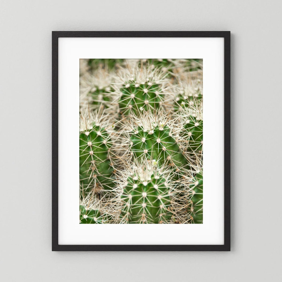 Prickle