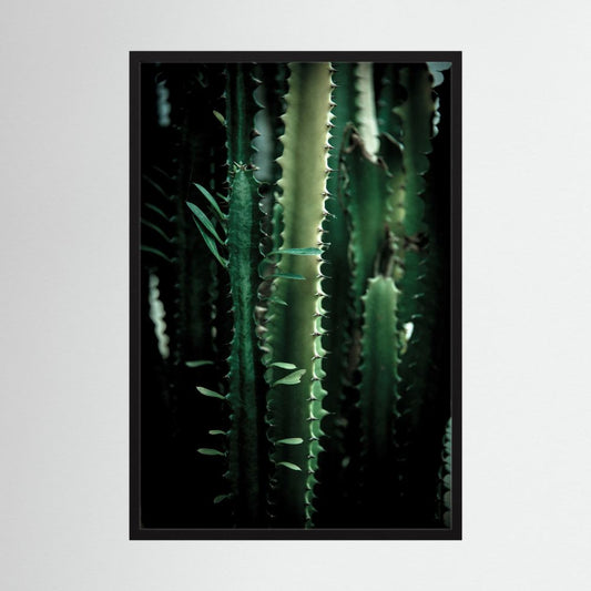 Dark Cactus