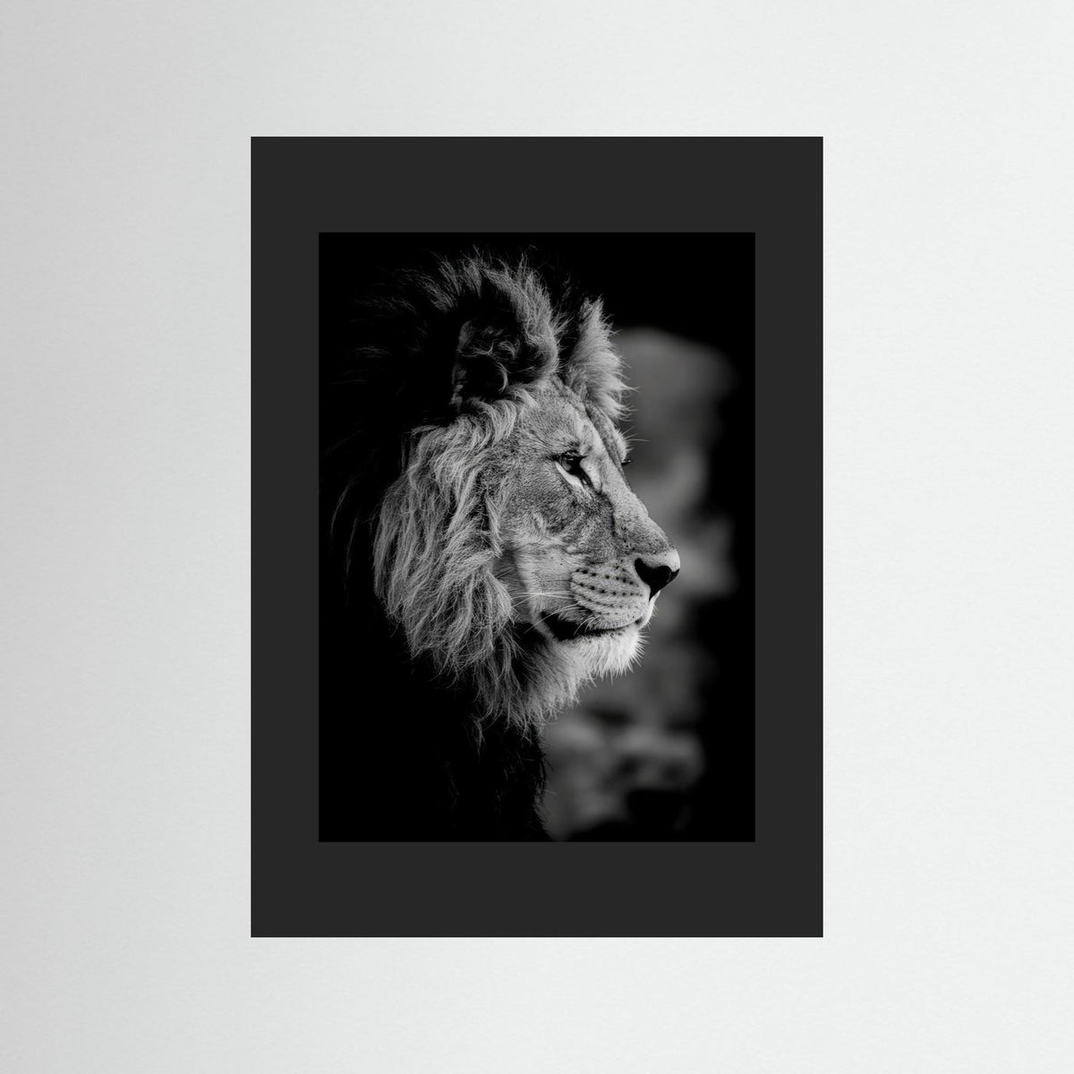 Majestic Mind