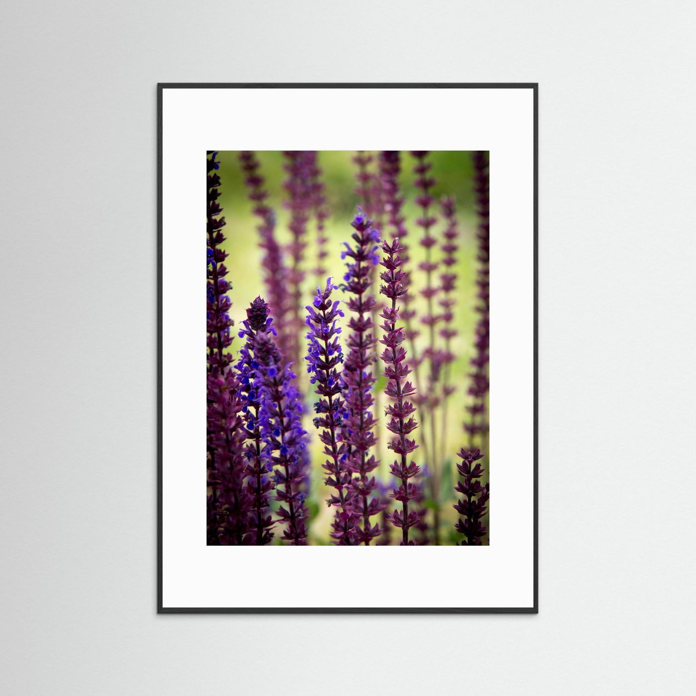Purple flowers