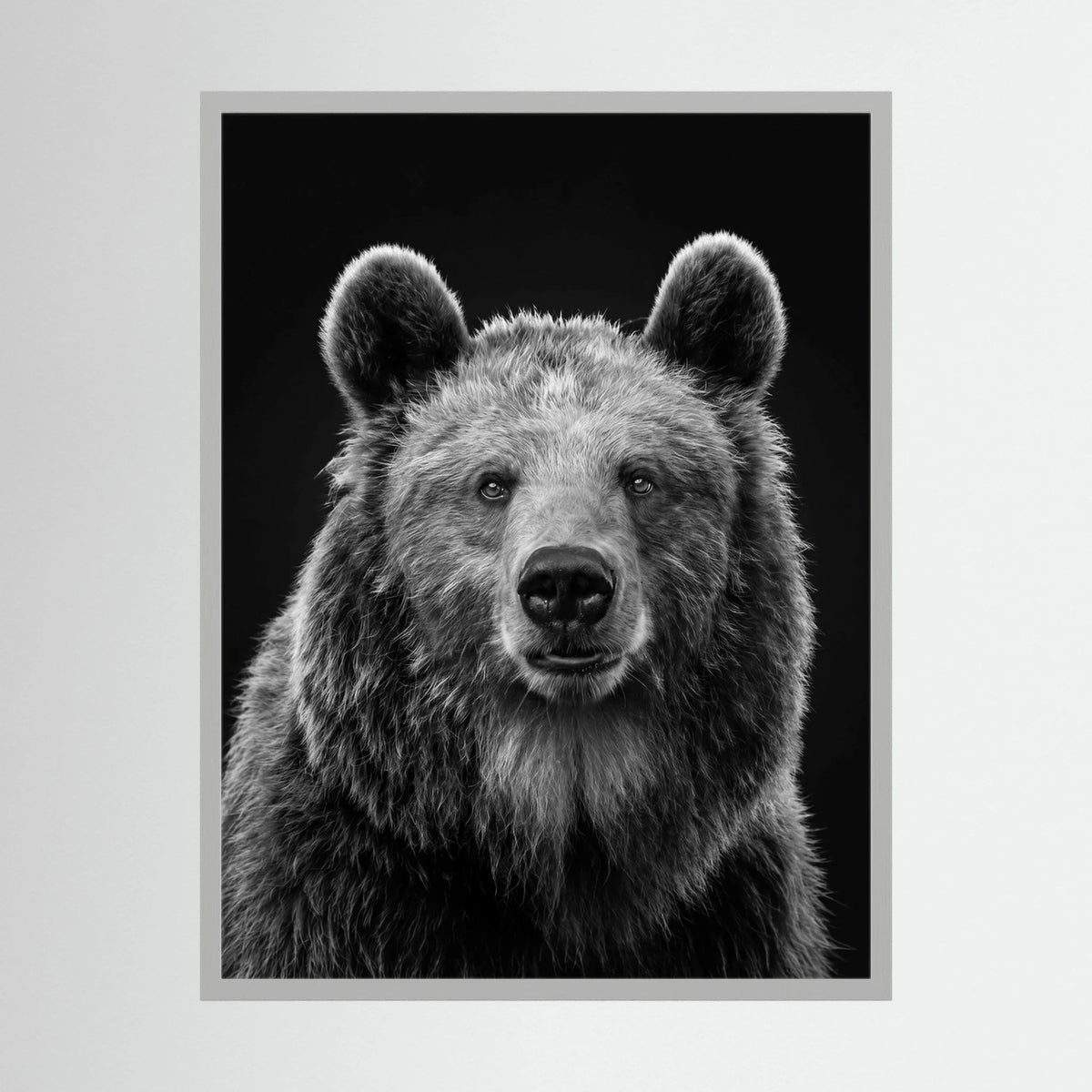 The Bear