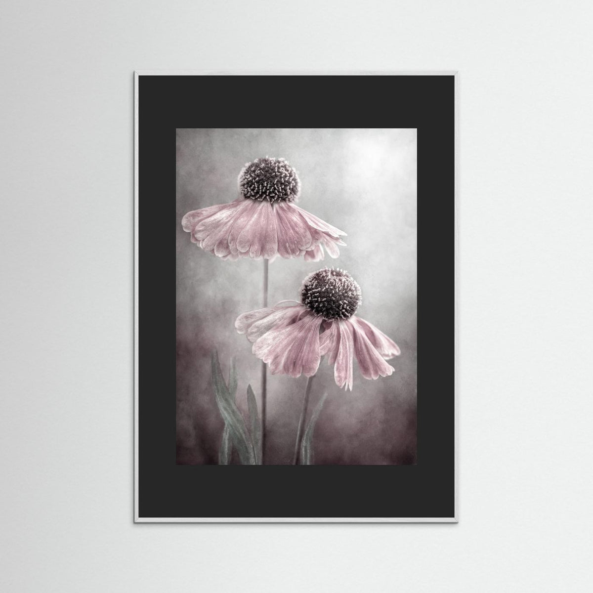 Duet 