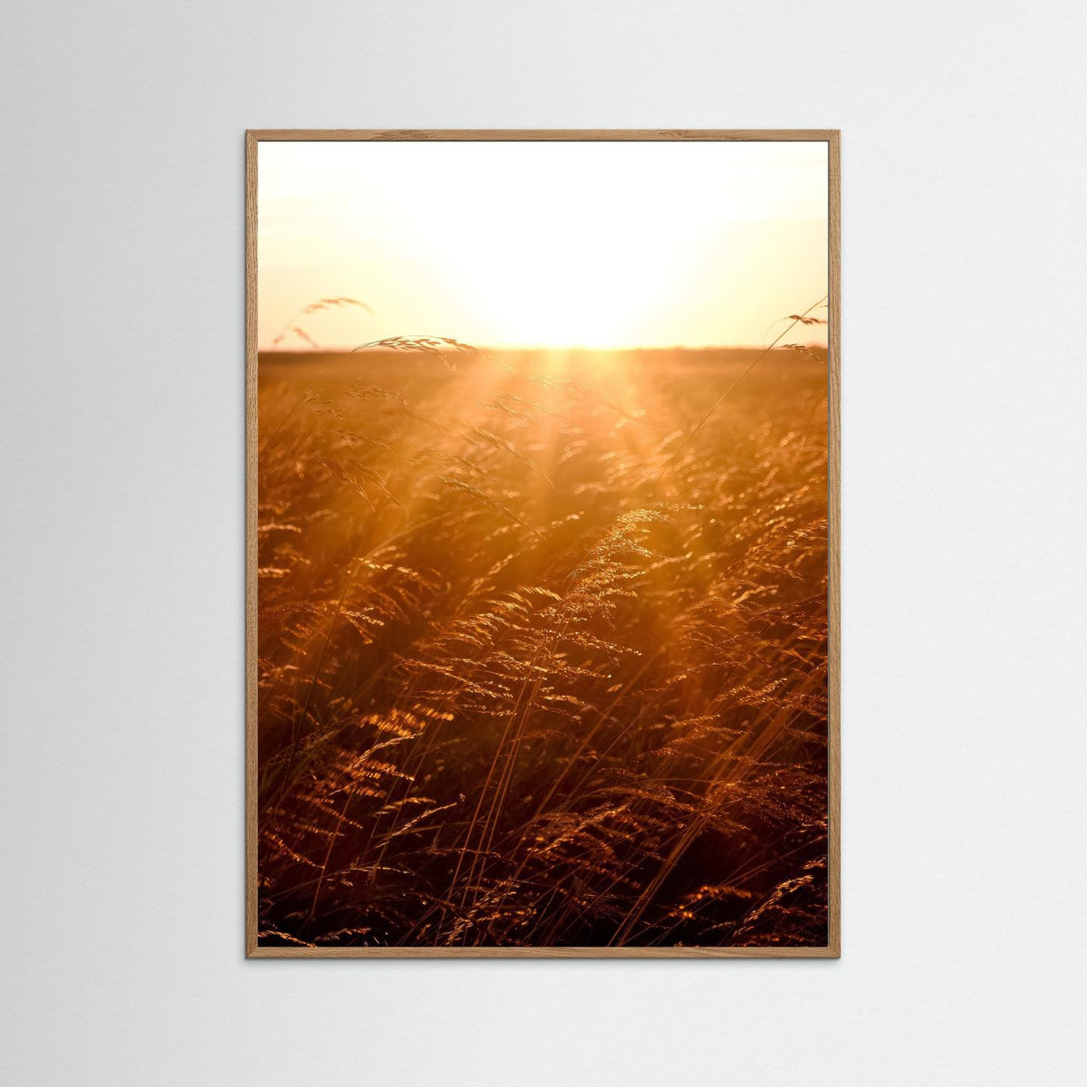 Fields of Gold