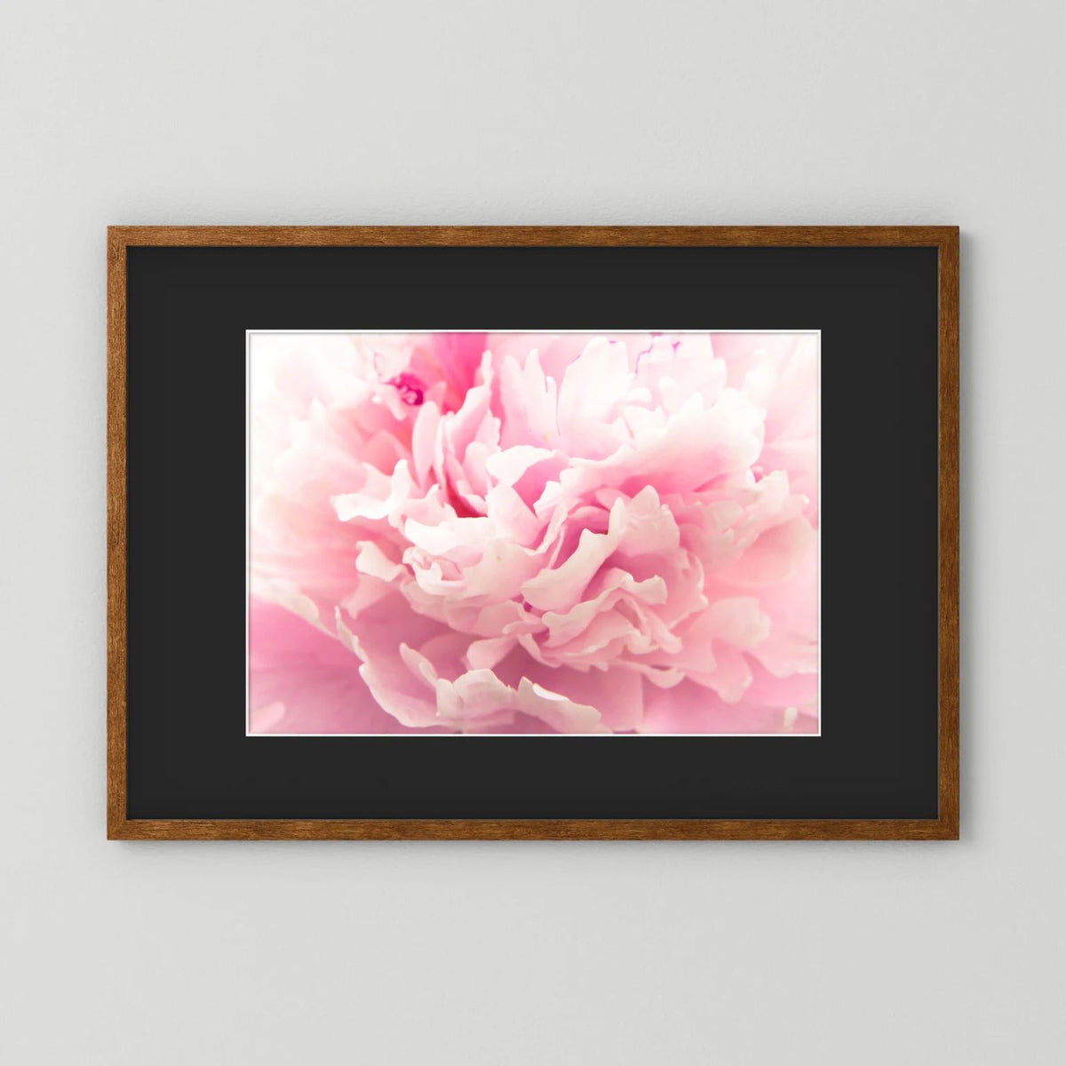 Fluffy Flower