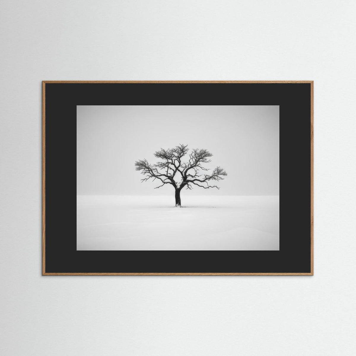 Tree of Life