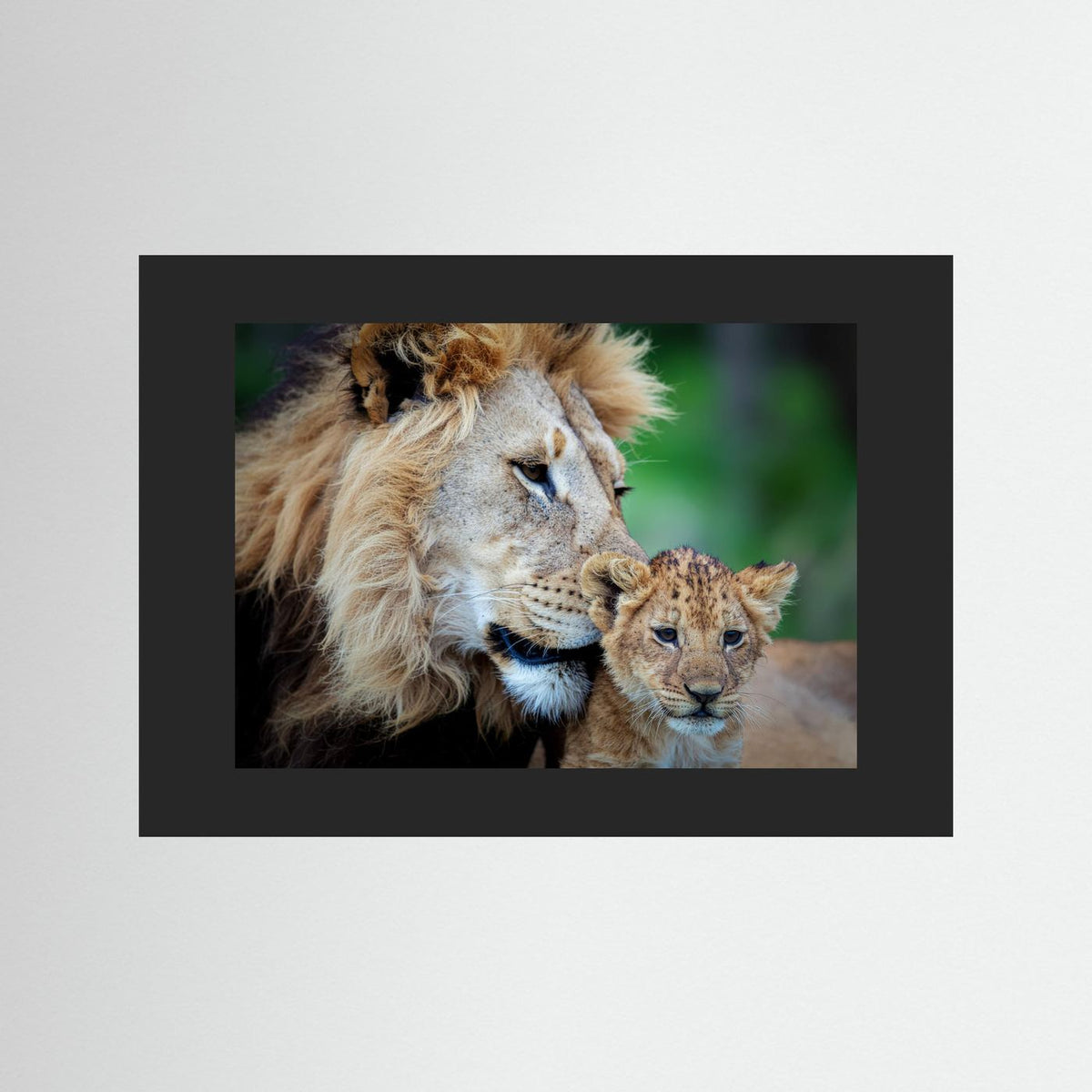 Father and Son