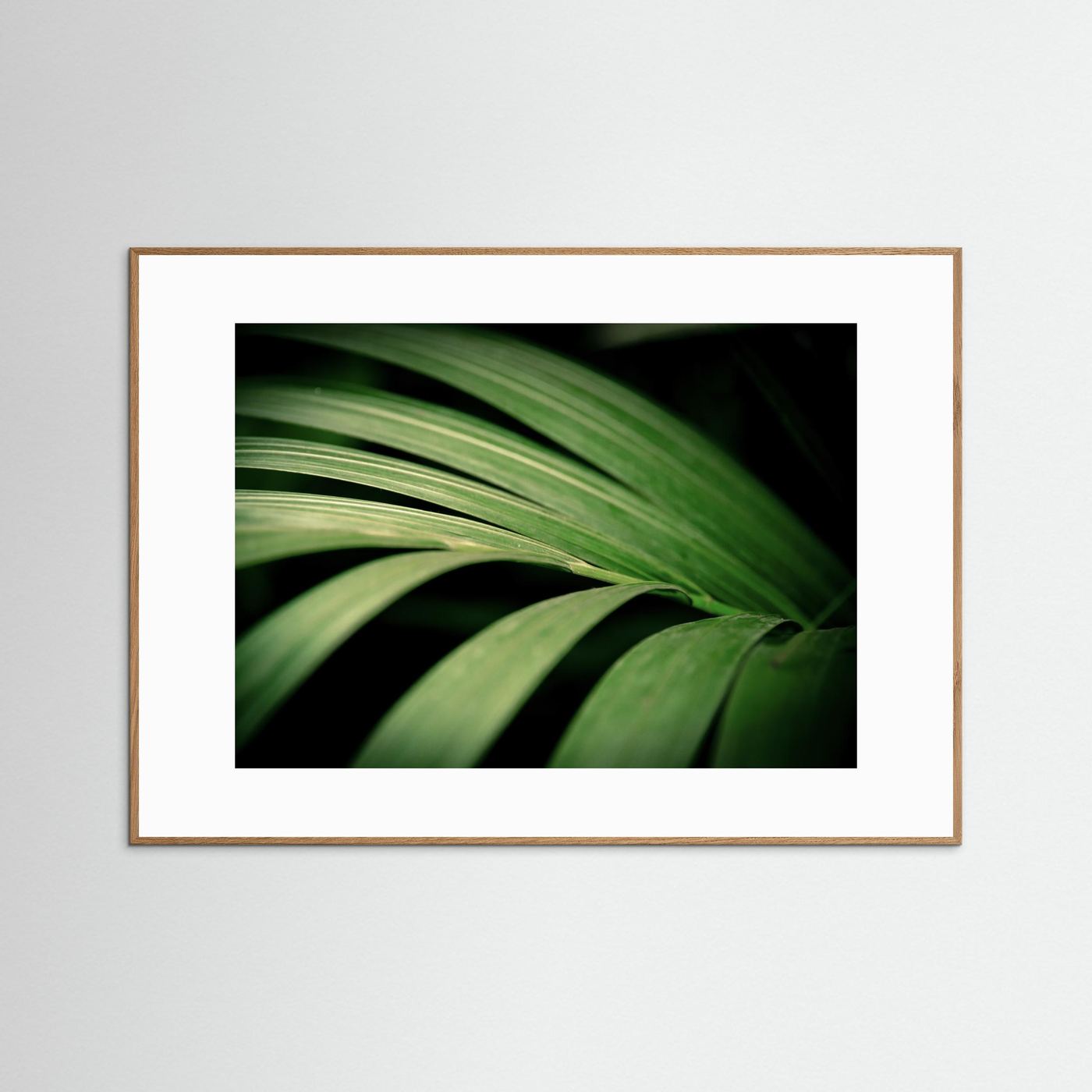 Green leaves