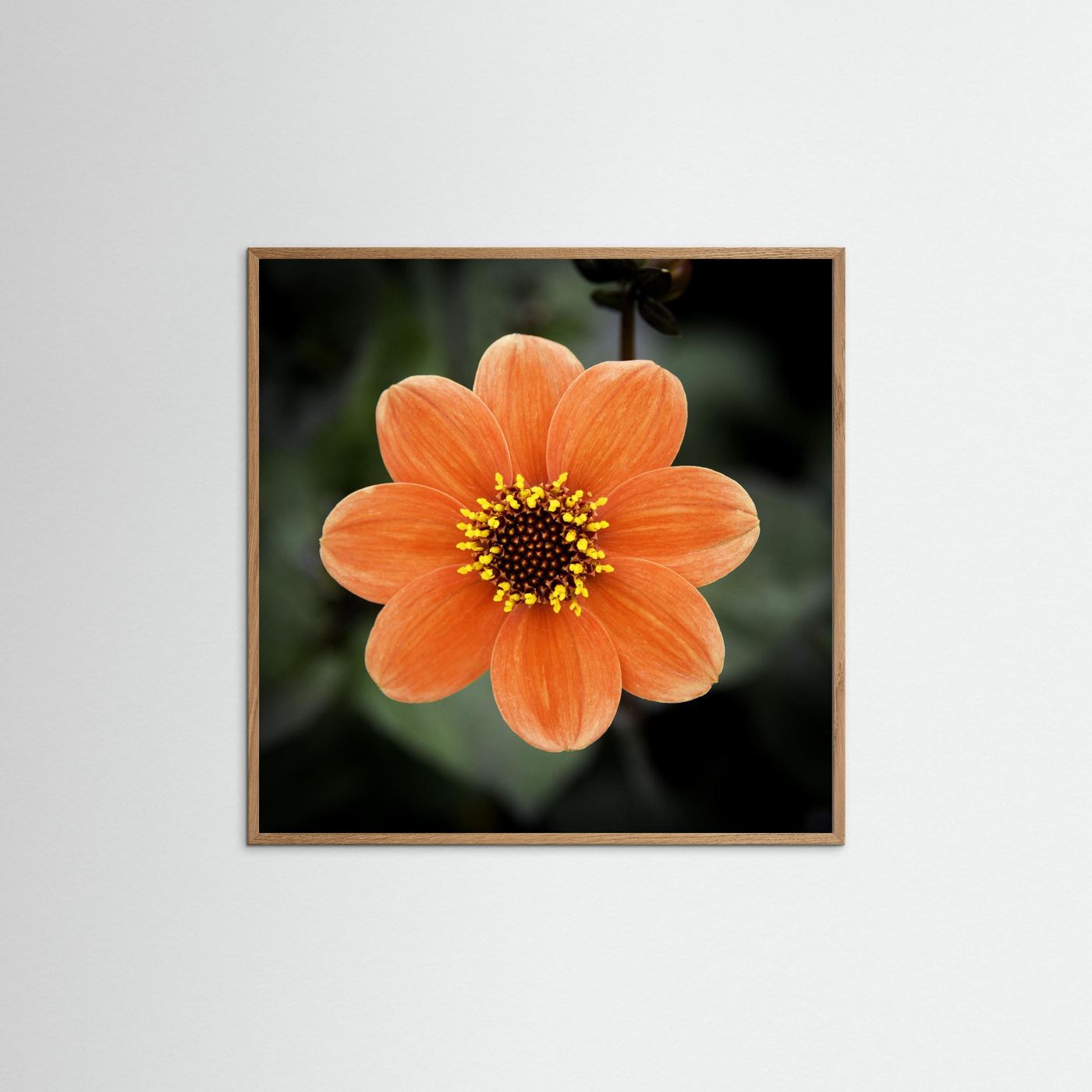 Square flower