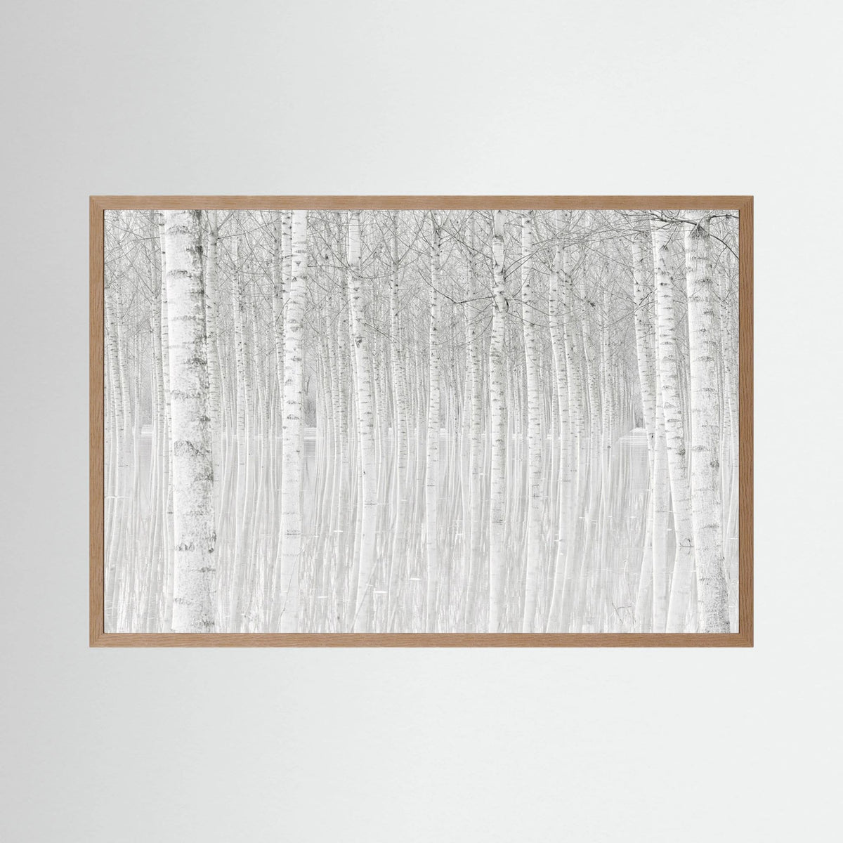 Trees 