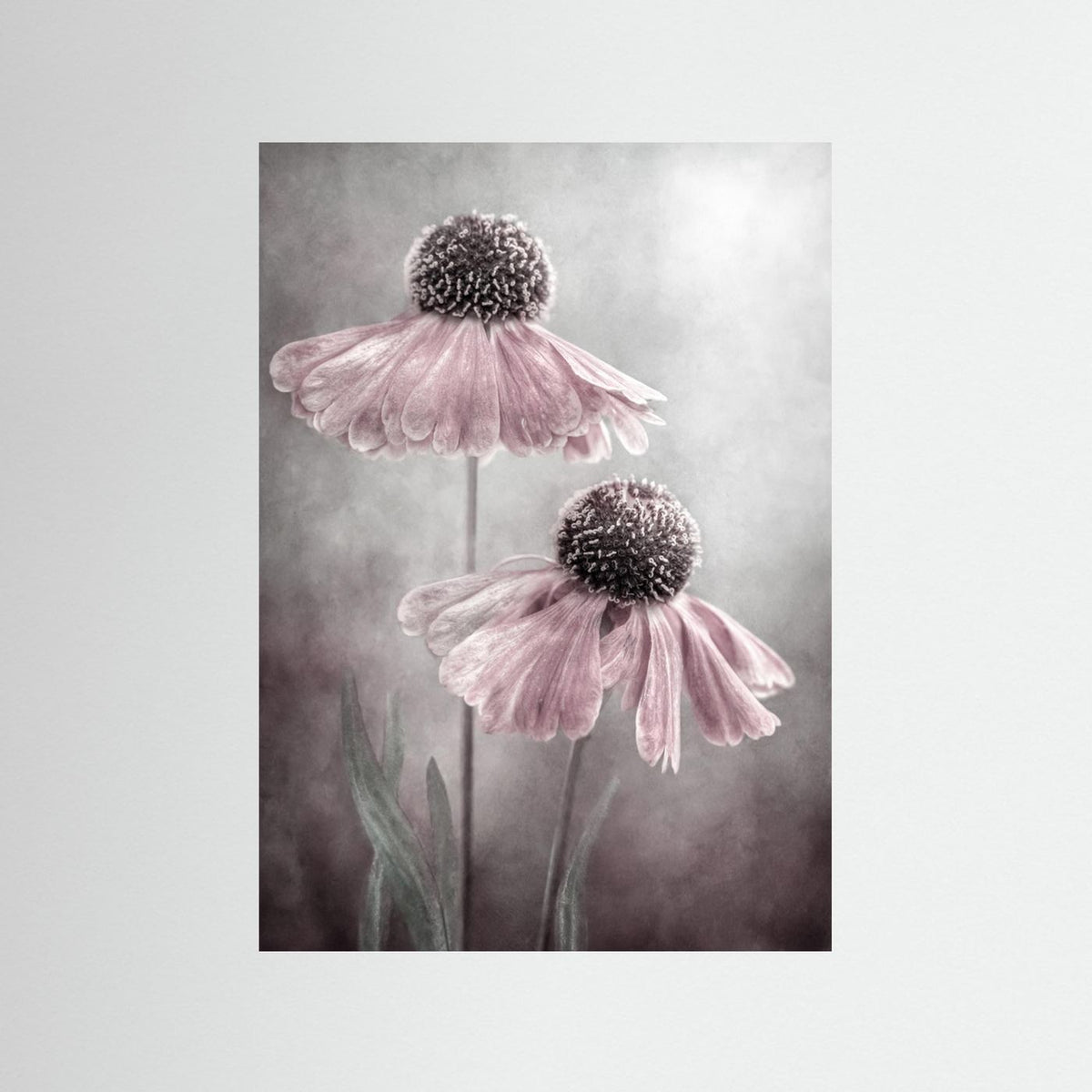 Duet 