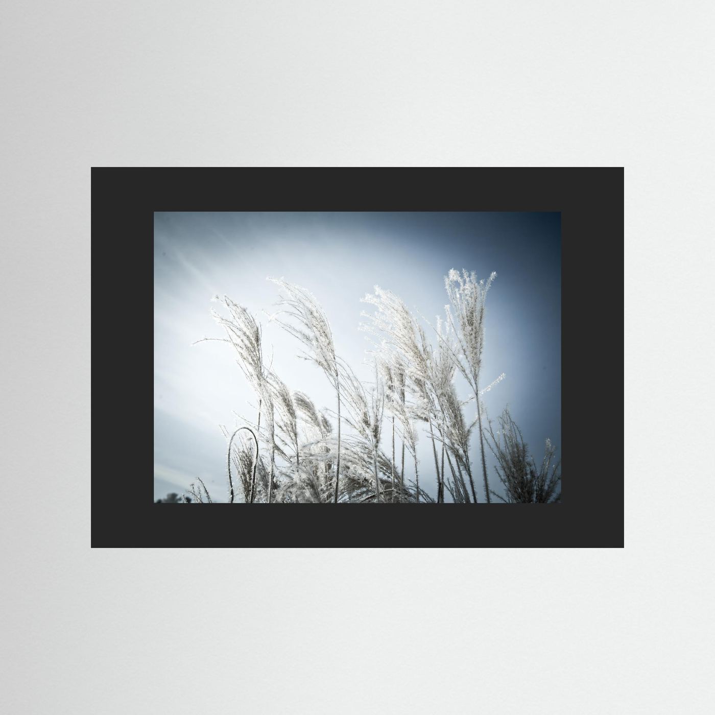 Frost