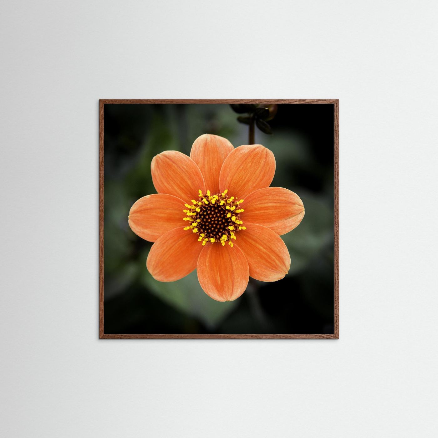 Square flower
