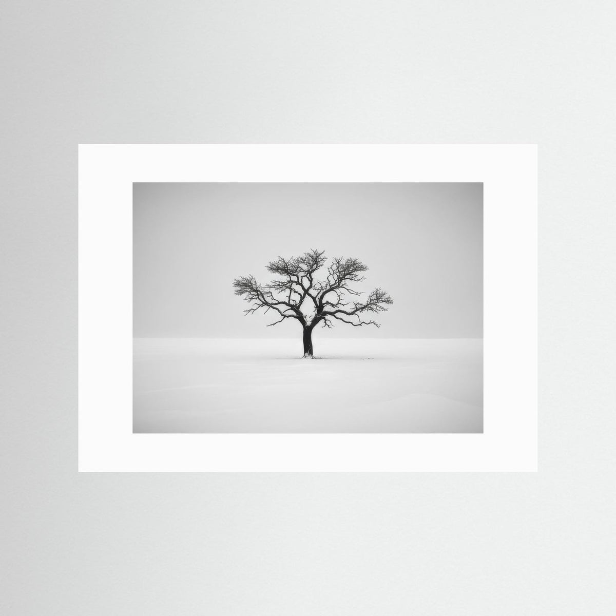 Tree of Life