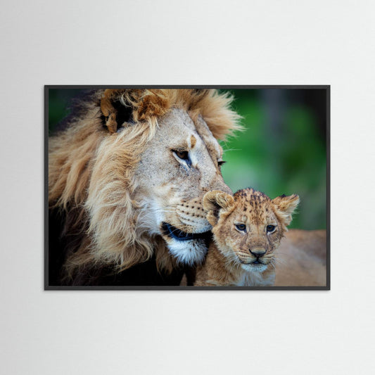 Father and Son