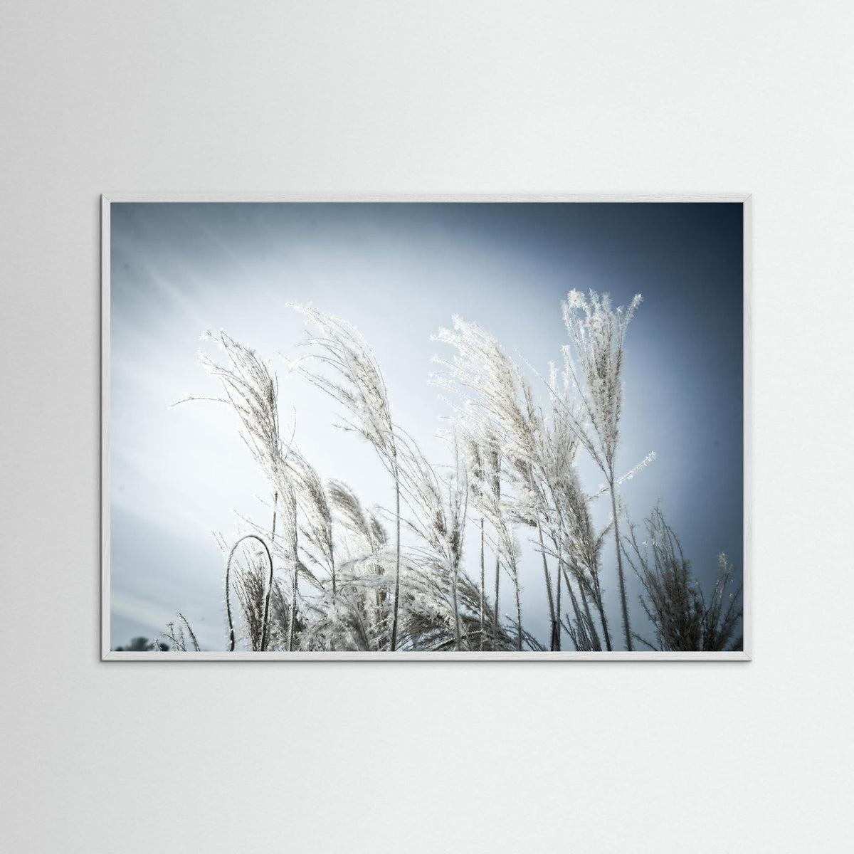 Frost