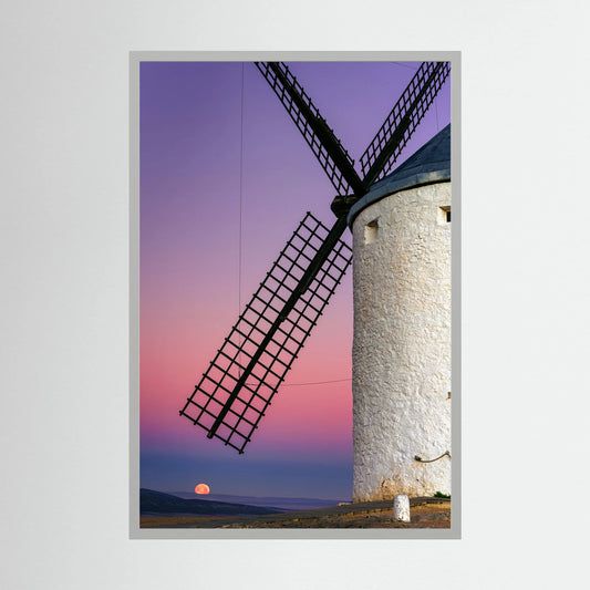 Don Quixote's Dream