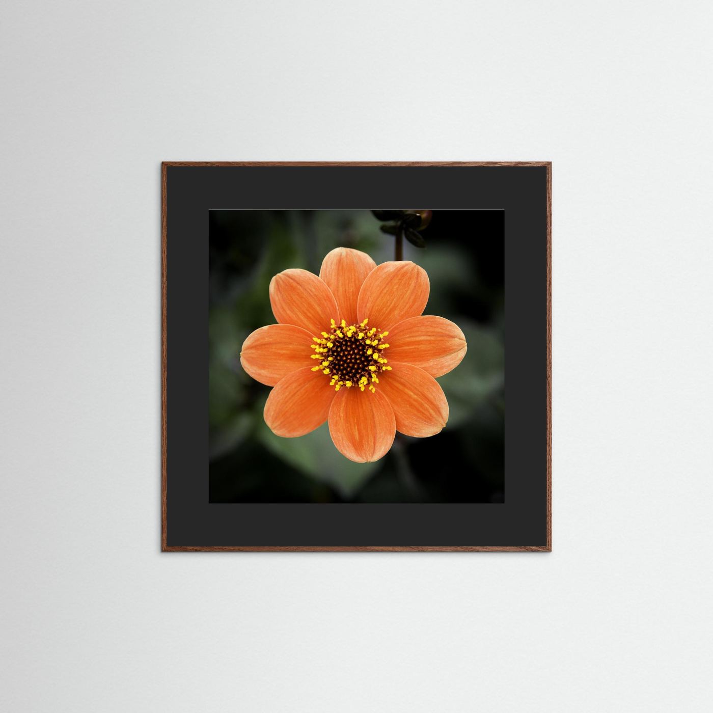 Square flower
